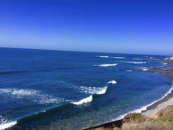 Oceanfront Rental Sweeping Views and Ultimate Comfort in La Jolla