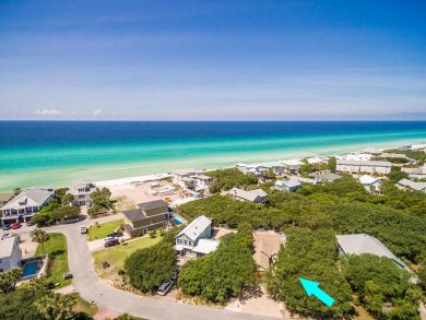 Seacrest Beach Luxury Pool Home One of the Top Ten - additional view, photo 3