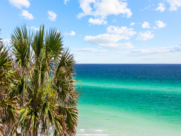 The Number 1 Santa Rosa Beach Most Requested Beach Rental