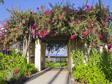 Wailea  Maui Condo 893555