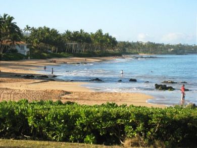 Wailea Maui Condo 893592 Wailea Maui Condo 893592