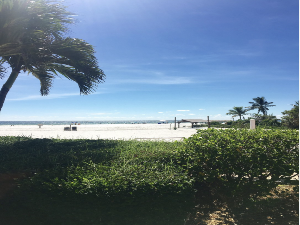 Siesta Key Beachfront Walk Out Condo