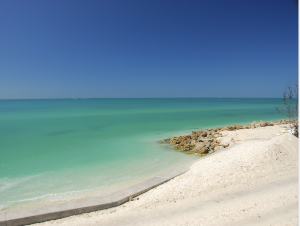 Siesta Key Beachfront Walk Out Condo