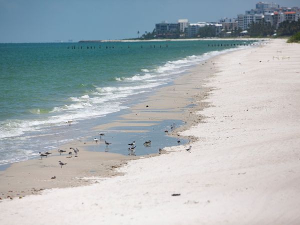 2 Bedroom Marco Island Vacation Condo Sleeps 4 Guests