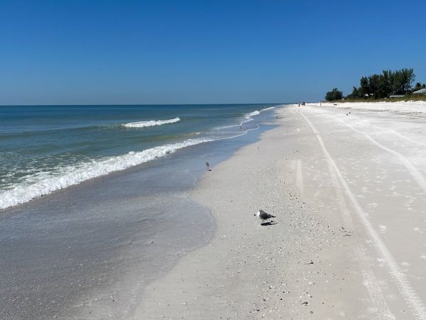 Two Bedroom Holmes Beach Pet Friendly Rental