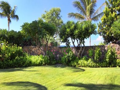 Luxury Oceanfront Wailea Resort Close to Beach & Golf