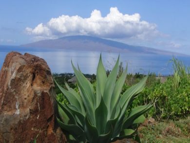 Lahaina Home 893962
