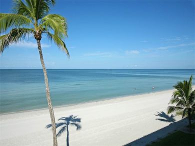 Luxury Naples Vacation Pool Home For Rent in Florida - additional view, photo 2