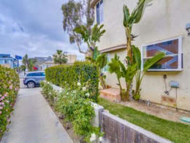 Three Bedroom Mission Beach Rental Walk to Beach and Bay