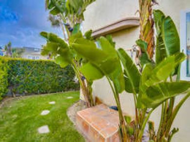 Three Bedroom Mission Beach Rental Walk to Beach and Bay