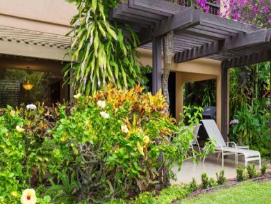 Wailea Condo 894148