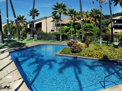 Wailea Condo 894148