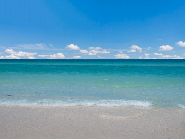 Anna Maria Island 3 Bedroom Beach Front Vacation Rental