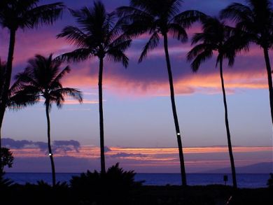 Wailea  Maui Condo 894302