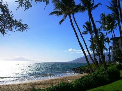Wailea Condo 894303