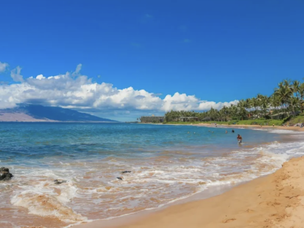 Oceanfront Luxury Estate in the Heart of Wailea - Steps from Keawakapu Beach