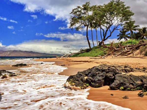 Oceanfront Luxury Estate in the Heart of Wailea - Steps from Keawakapu Beach