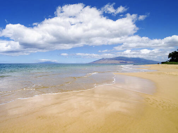 Oceanfront Luxury Estate in the Heart of Wailea - Steps from Keawakapu Beach
