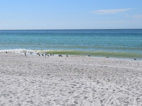 Anna Maria Island  Vacation Two Bedroom at the Beach