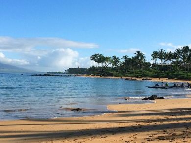 Wailea Condo 894392