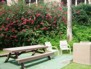 Wailea Condo 894392
