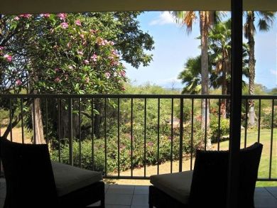 Wailea Condo 894392