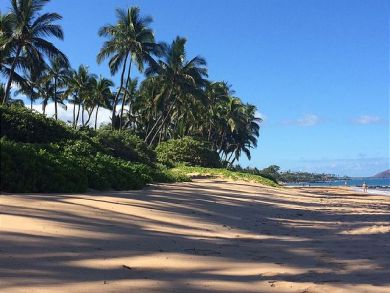 Wailea Condo 894392