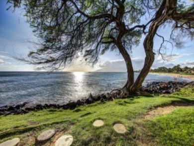 Magnificent Maui Vacation Condo World Class Loation & Views