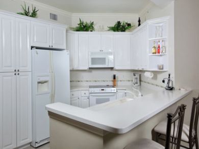 Naples Condo 894756