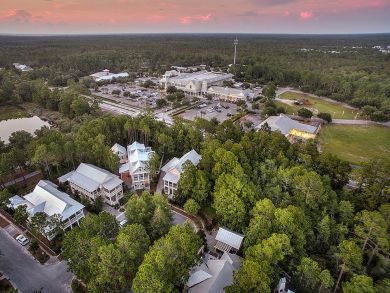 Stunning and By Far the Most Posh Rental Santa Rosa Beach