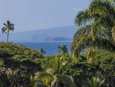Wailea Two Bedroom Rental that will Sleep Six