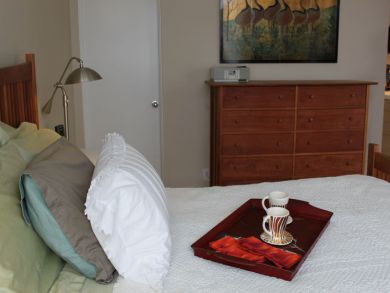 La Jolla Village Vacation Rental
