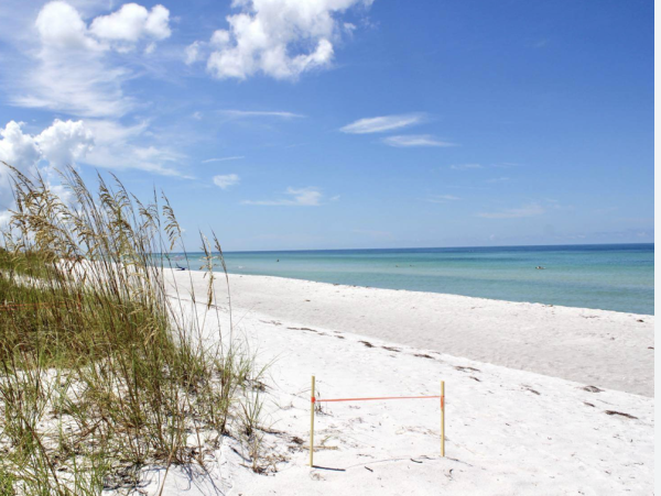 Stay on Lido Key and Stroll to Posh St Armands Circle