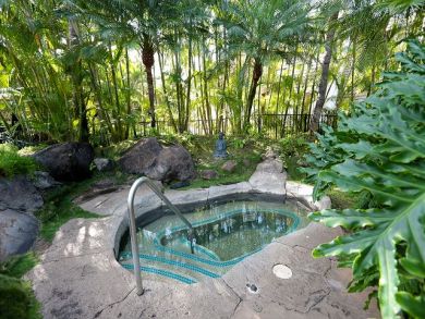 Wailea Condo 895193