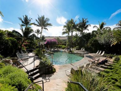 Wailea Condo 895193
