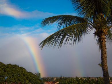 Wailea Condo 895193
