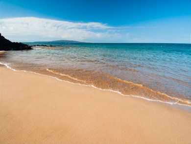 Wailea Condo 895193