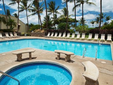 Wailea Condo 895193