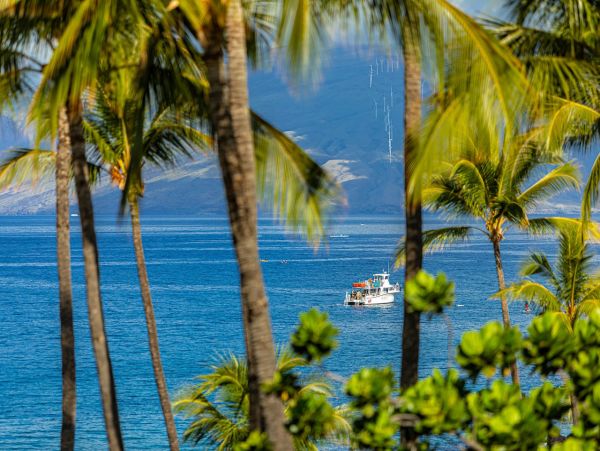 Luxury Wailea Penthouse Available for Rent Call Today