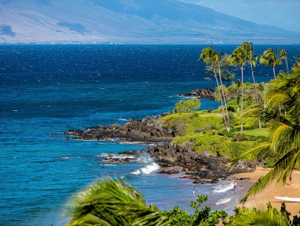 Luxury Wailea Penthouse Available for Rent Call Today