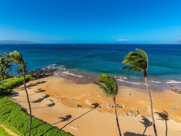 Luxury Wailea Penthouse Available for Rent Call Today