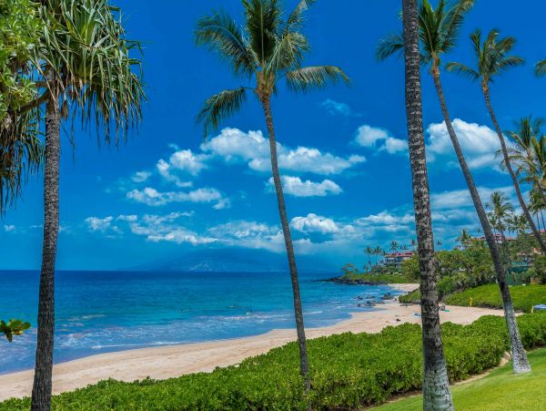 Luxury Wailea Penthouse Available for Rent Call Today