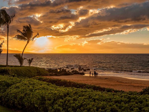 Luxury Wailea Penthouse Available for Rent Call Today