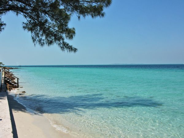 Modern Anna Maria Vacation Condo One Bedroom Walk To Beach