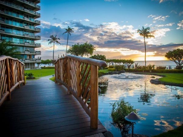 One Bedroom Beach Condo Sleeps Four Guests Full Gulf View