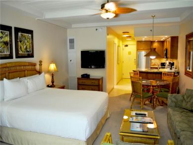 Kaanapali  Maui Condo 895311
