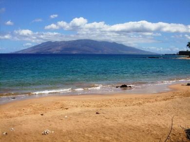 Wailea  Maui Condo 895336