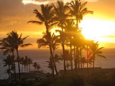 Wailea  Maui Condo 895336