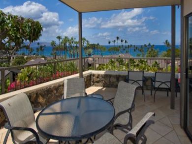 Wailea Condo 895337
