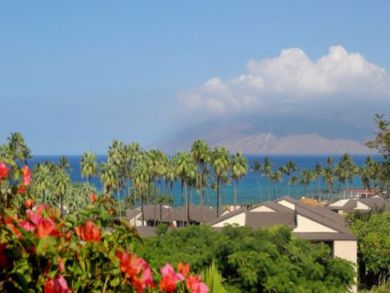 Wailea Condo 895338 Wailea Condo 895338